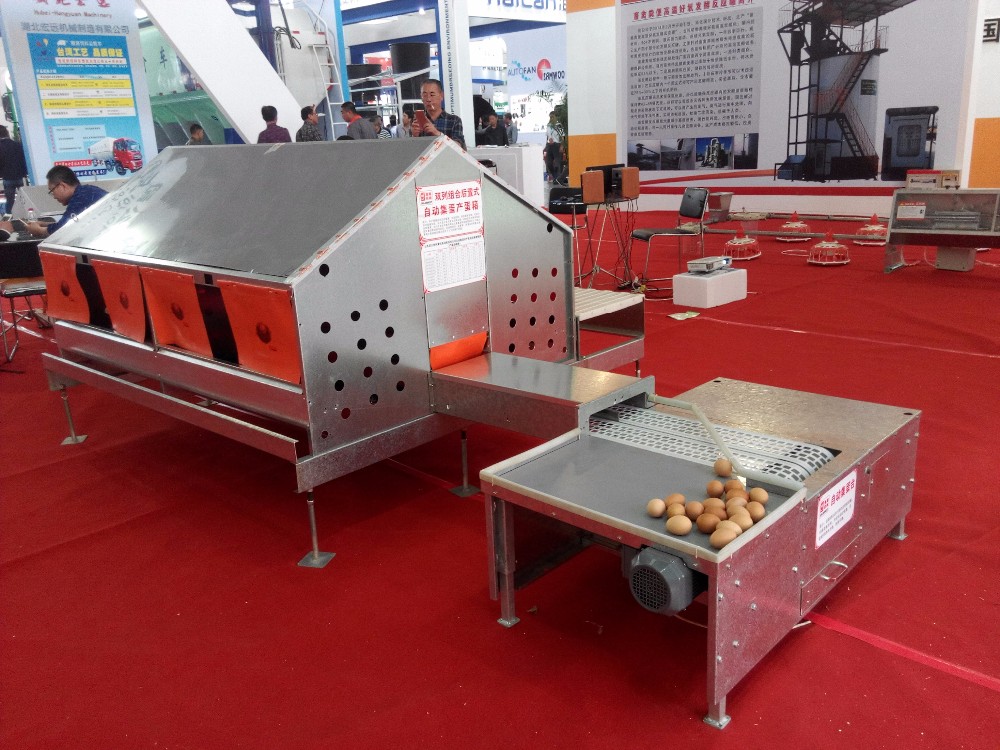 product-321-241 automatic egg collecting system.jpg
