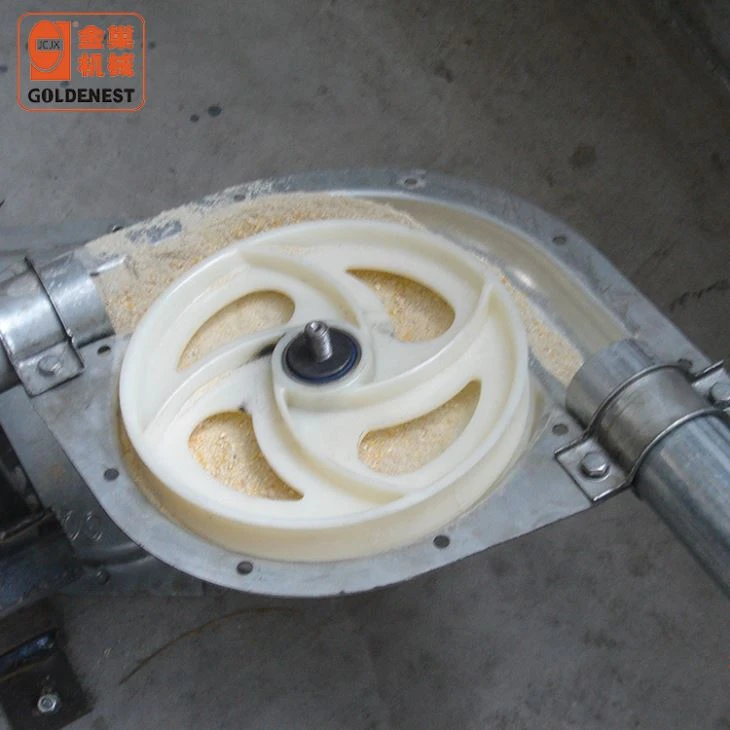 Factory Supplier Pig Farming Automatic Feeding Line System Design
