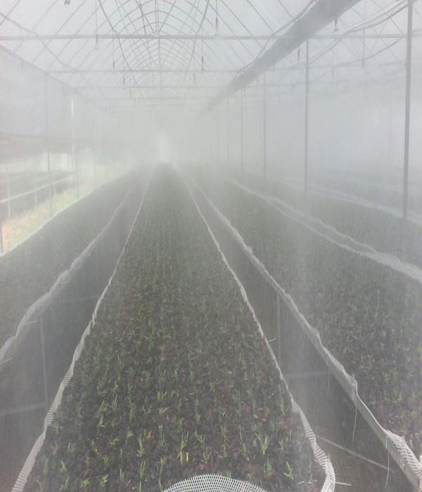 Poultry Farming House Chicken Foggy Spray Water Misting Spray System