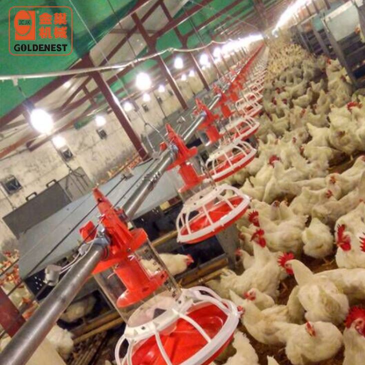 Breeder Metering Cylinder Pan Feeding System Breeder Metering Cylinder Pan Feeding System