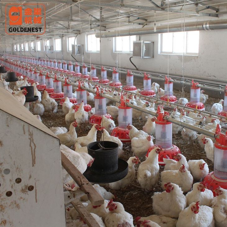 Breeder Metering Cylinder Pan Feeding System Breeder Metering Cylinder Pan Feeding System